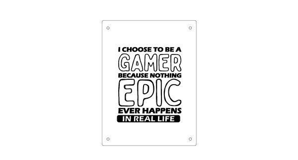 I Choose to be a Gamer